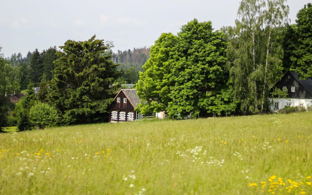 Vlčí Hora – na výletě po Českém Švýcarsku